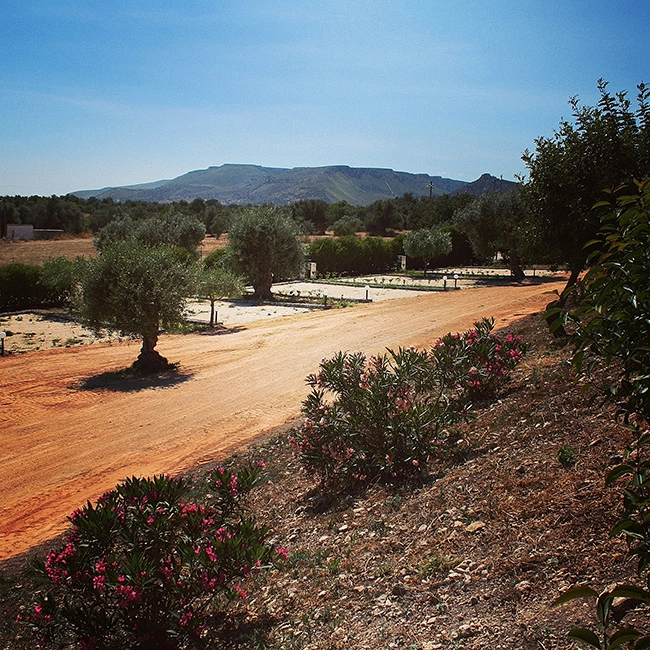 zobacz camping - zdjęcie 12