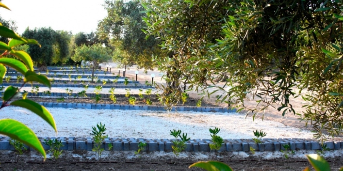 zobacz camping - zdjęcie 10