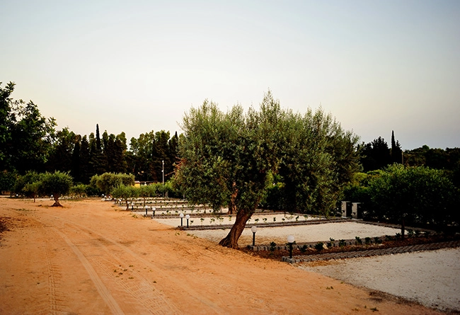 zobacz camping - zdjęcie 1