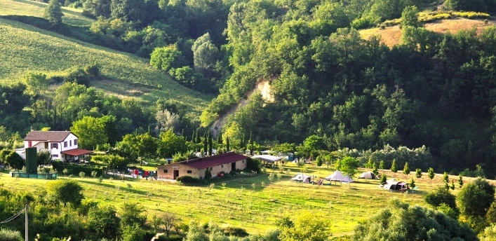 Agricamp Picobello - zdjęcie 2