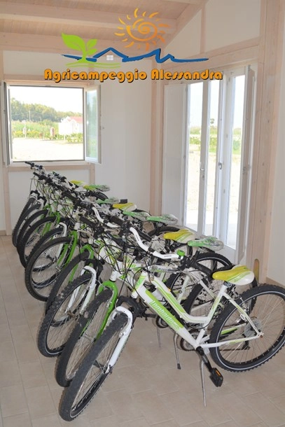 zobacz camping - zdjęcie 23