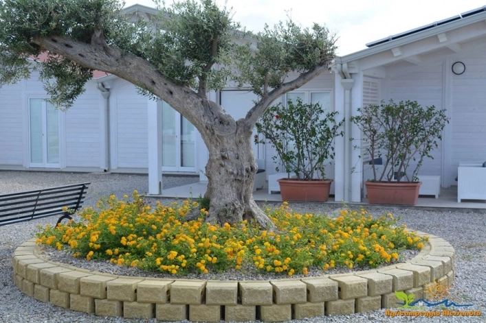 zobacz camping - zdjęcie 17