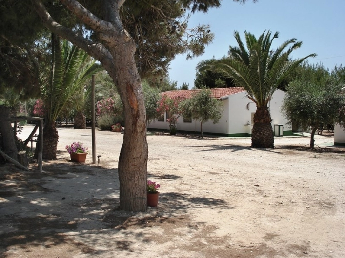 zobacz camping - zdjęcie 14