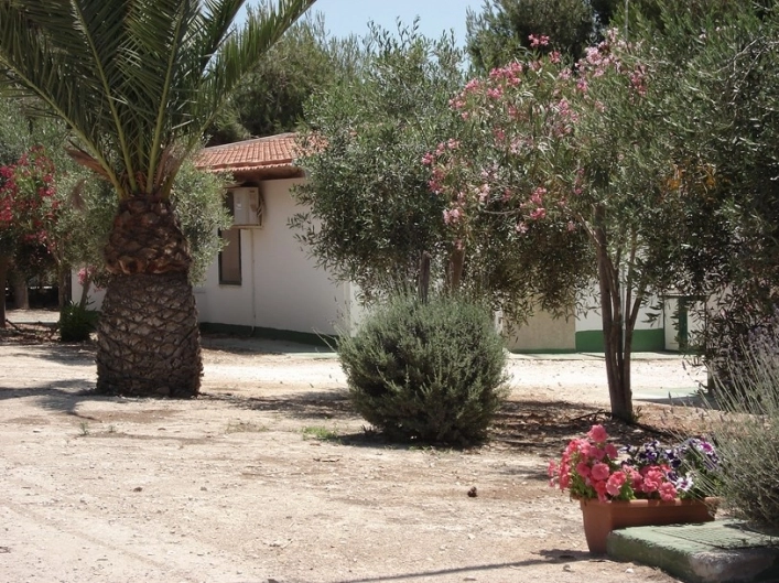 zobacz camping - zdjęcie 13