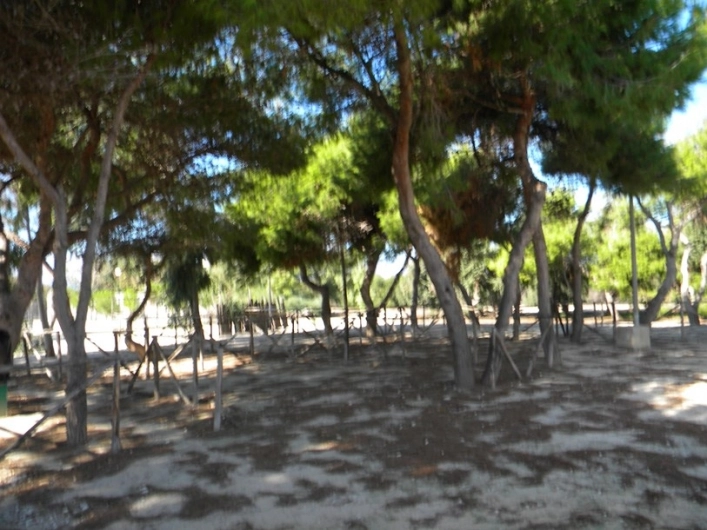 zobacz camping - zdjęcie 12