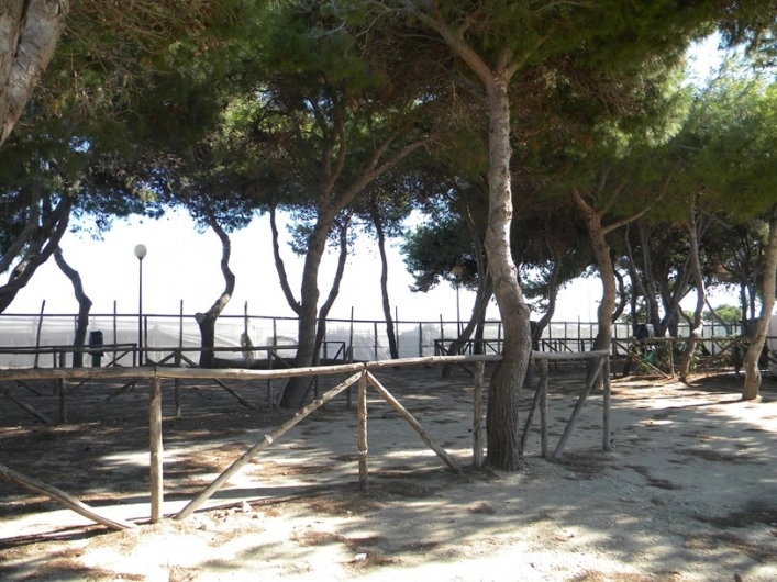 Agricampeggio Capo Scalambri - zdjęcie 4