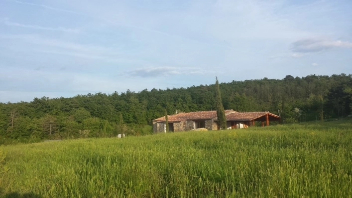 zobacz camping - zdjęcie 19