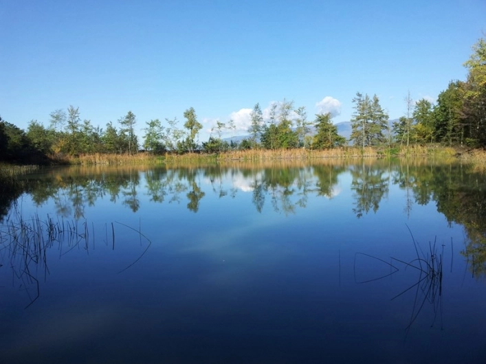 zobacz camping - zdjęcie 16