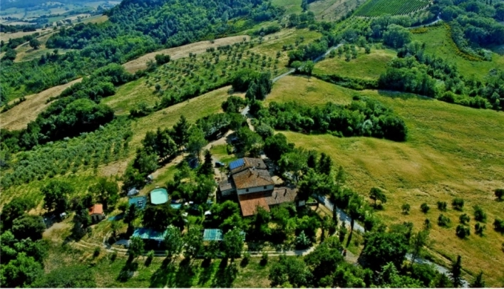 zobacz camping - zdjęcie 11