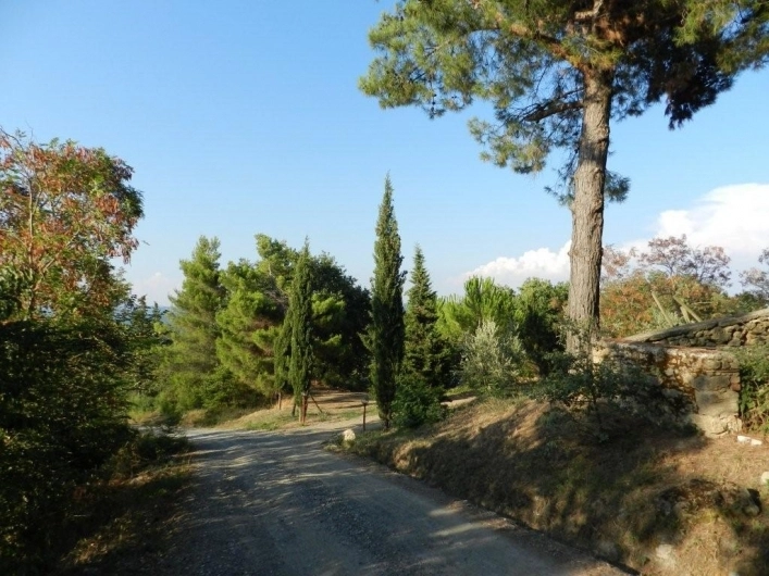 Agricampeggio/Agriturismo Podernuovo BP - zdjęcie 3