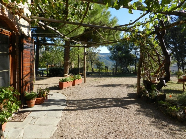 Agricampeggio/Agriturismo Podernuovo BP - zdjęcie 2