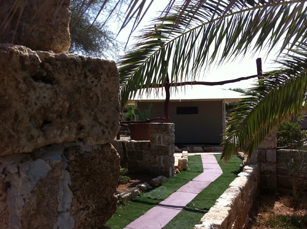 zobacz camping - zdjęcie 20