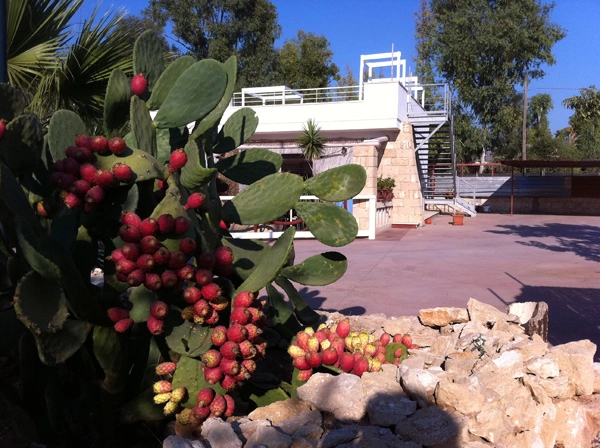 zobacz camping - zdjęcie 19