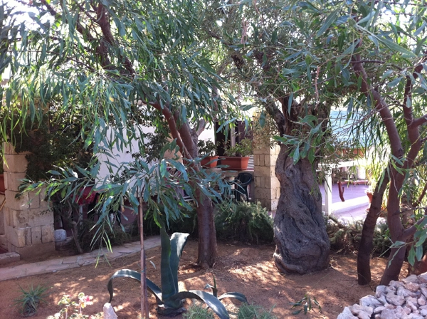 zobacz camping - zdjęcie 17