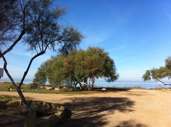 zobacz camping - zdjęcie 15