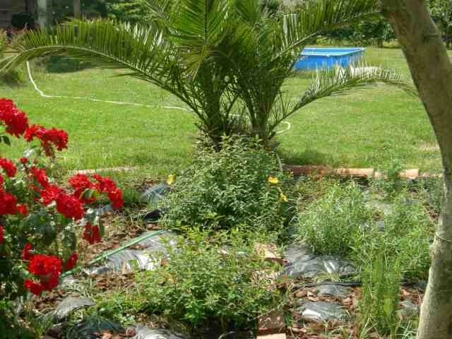 zobacz camping - zdjęcie 17