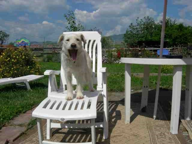 zobacz camping - zdjęcie 16