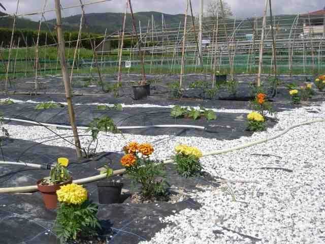 zobacz camping - zdjęcie 13