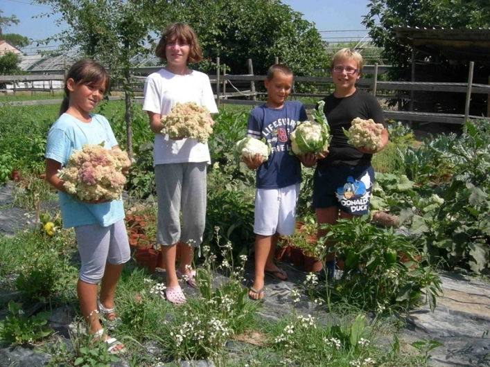 zobacz camping - zdjęcie 8