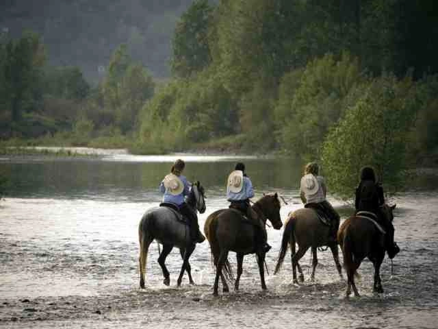 Agricamping  Alessandra Ameglia, per camper - zdjęcie 1