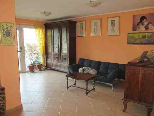 zobacz camping - zdjęcie 14