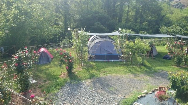 zobacz camping - zdjęcie 13