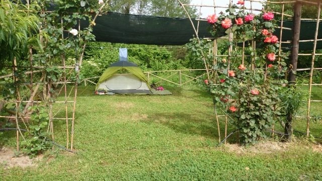 zobacz camping - zdjęcie 11