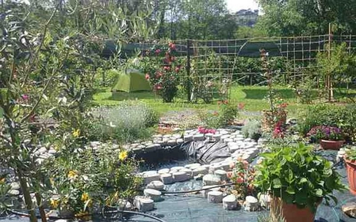 zobacz camping - zdjęcie 8