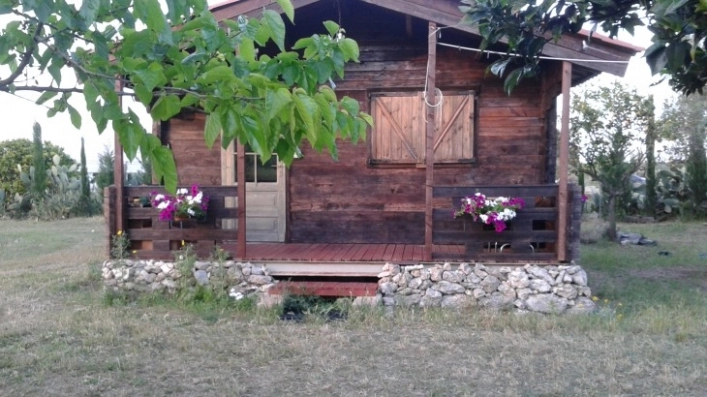 Agricamping Darwin - zdjęcie 3