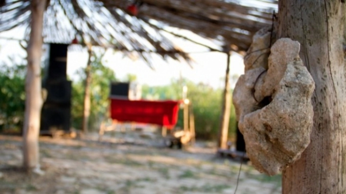 Agricamping Darwin - zdjęcie 2