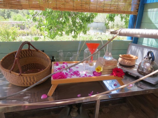 zobacz camping - zdjęcie 15