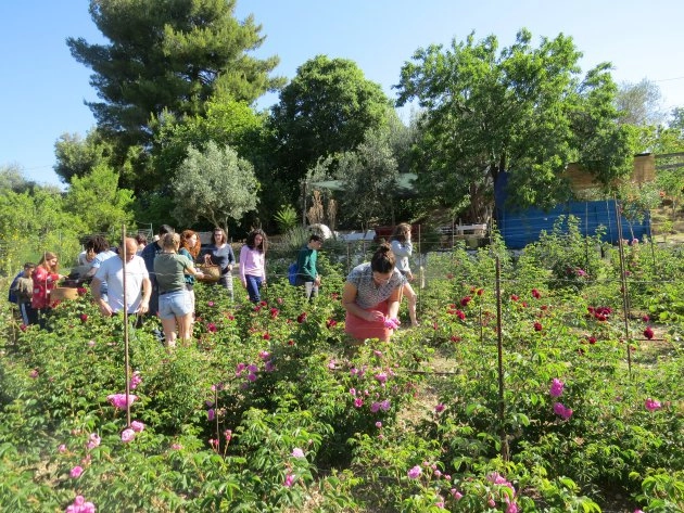 zobacz camping - zdjęcie 11