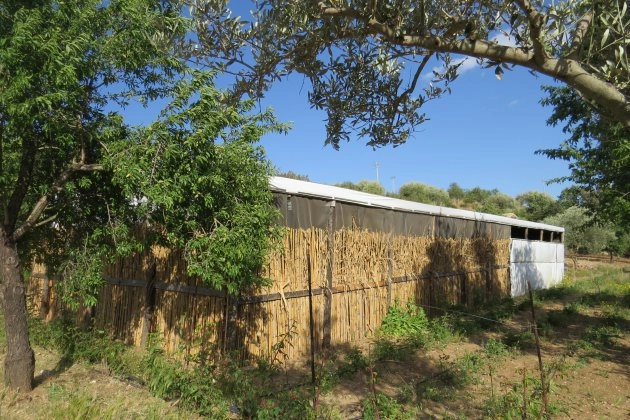 Agricamping Fiori di Noto - zdjęcie 1