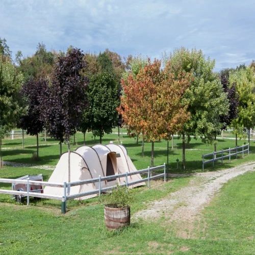 zobacz camping - zdjęcie 3