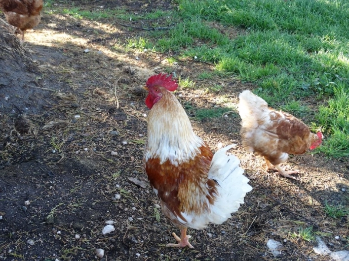 zobacz camping - zdjęcie 9