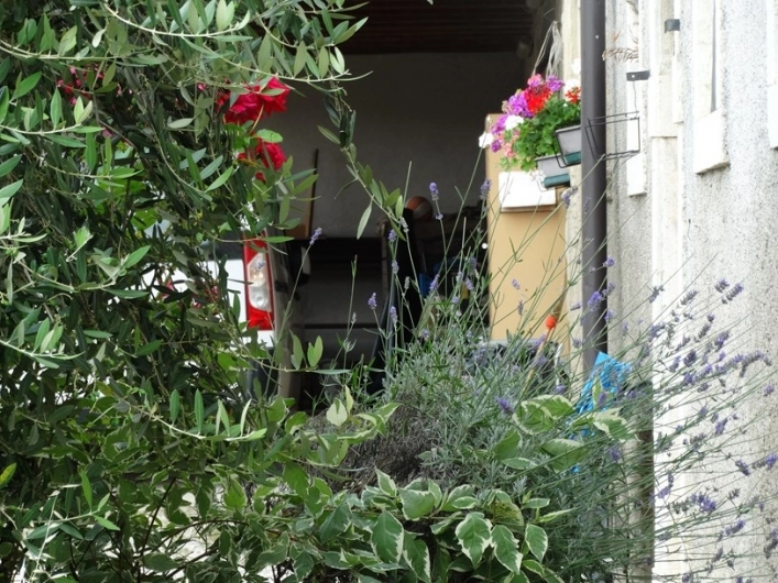 zobacz camping - zdjęcie 5