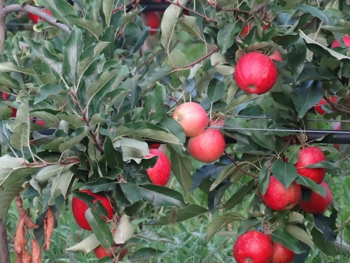 zobacz camping - zdjęcie 2