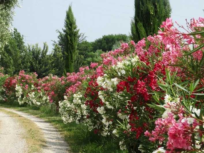 zobacz camping - zdjęcie 7