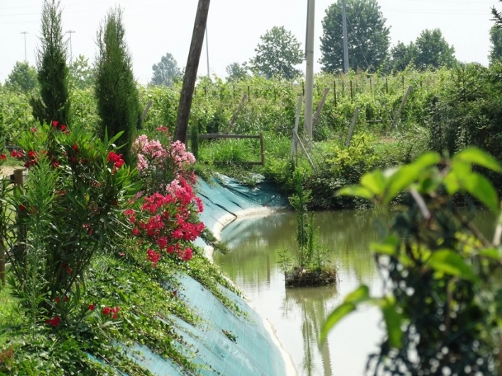 Agricamping Mabellini - zdjęcie 1