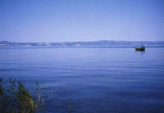 zobacz camping - zdjęcie 18