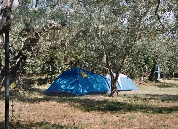 zobacz camping - zdjęcie 10