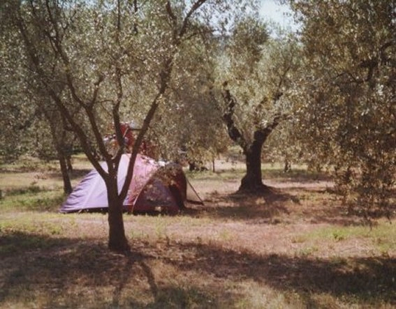 zobacz camping - zdjęcie 9