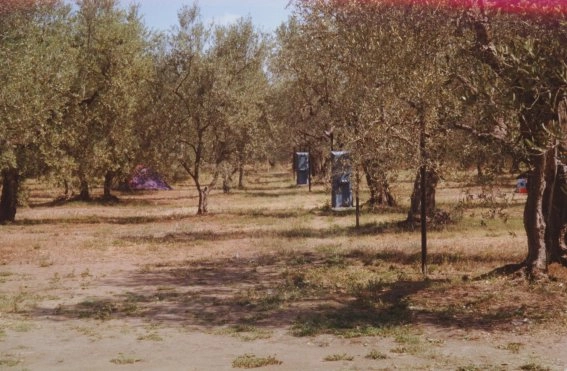 zobacz camping - zdjęcie 7