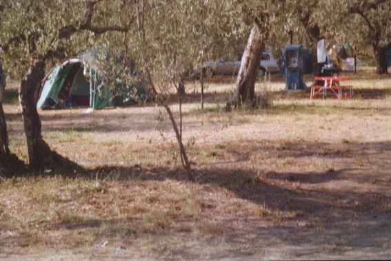 zobacz camping - zdjęcie 6