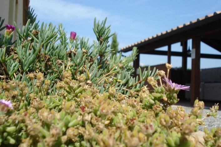 zobacz camping - zdjęcie 18