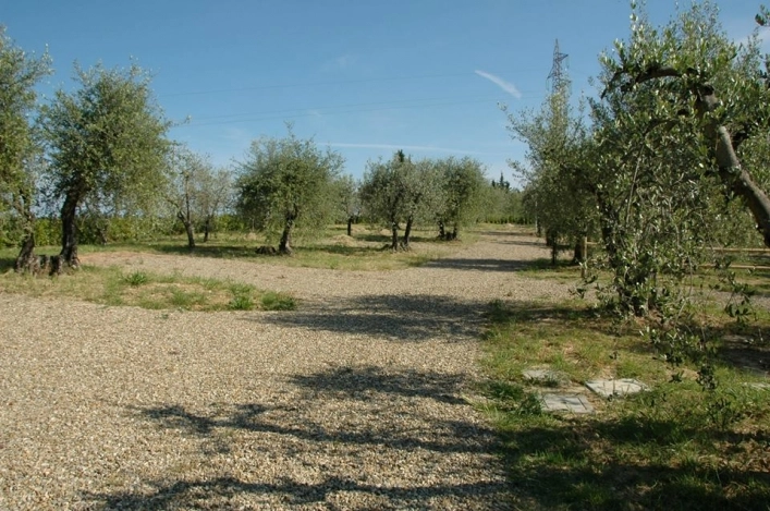 zobacz camping - zdjęcie 17