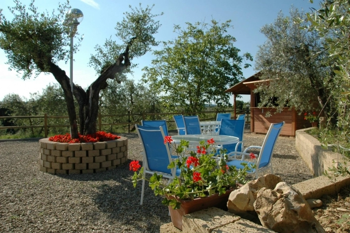 zobacz camping - zdjęcie 16