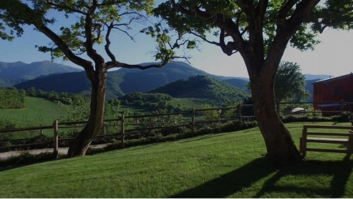 zobacz camping - zdjęcie 2