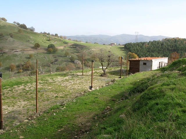 zobacz camping - zdjęcie 10