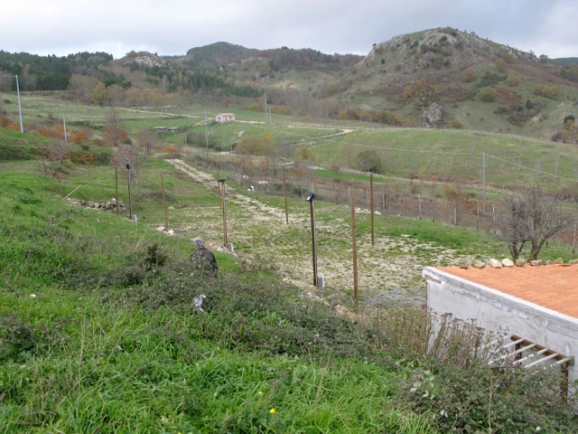 zobacz camping - zdjęcie 9